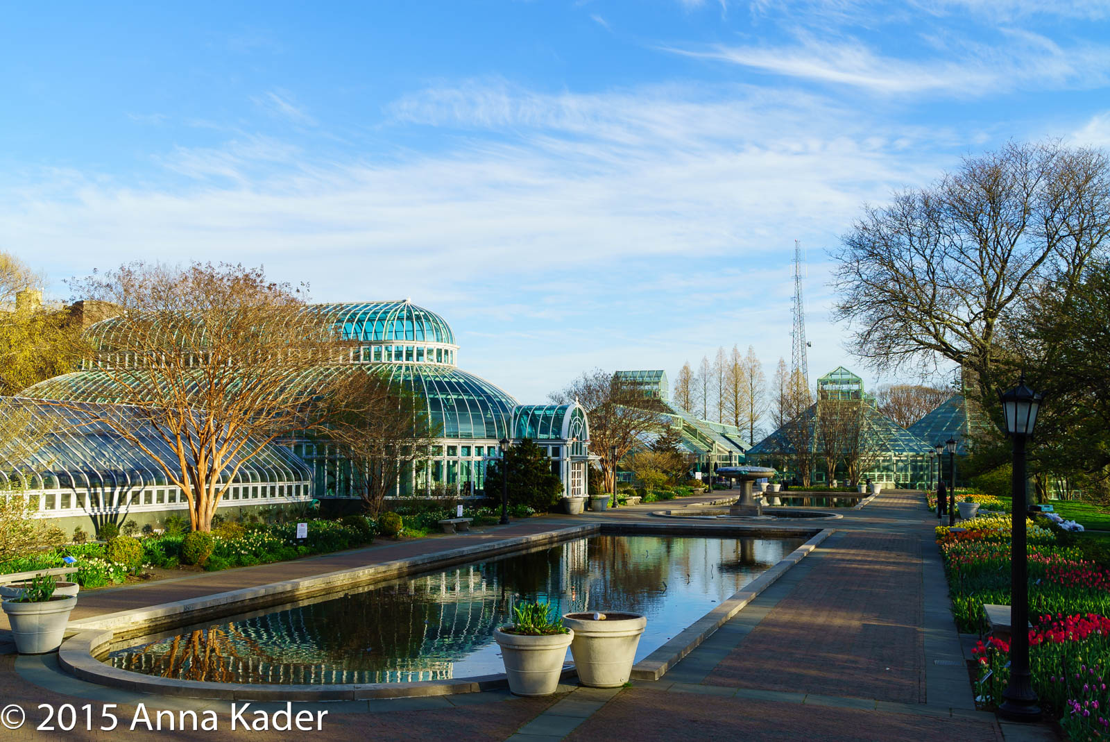 Brooklyn Botanic Garden